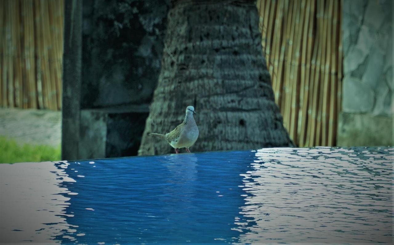 Bali Bhuana Beach Cottages Amed Eksteriør billede